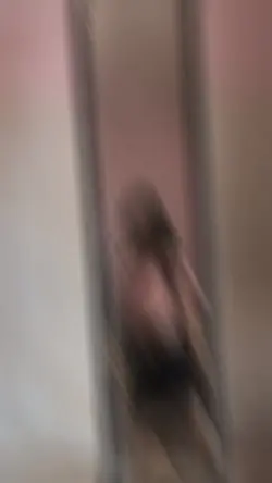 🤍❤️💙