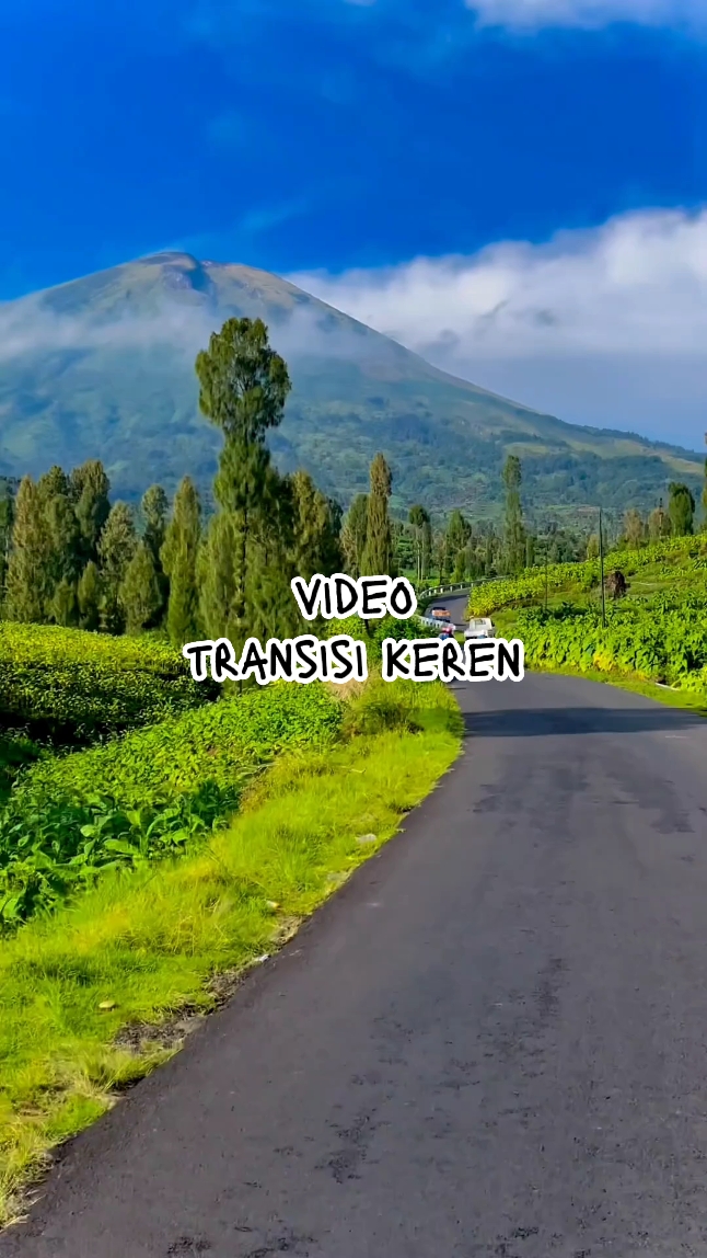 vidéo transisi