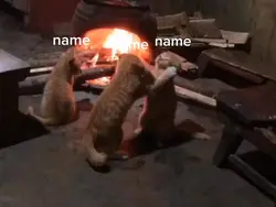 "name"