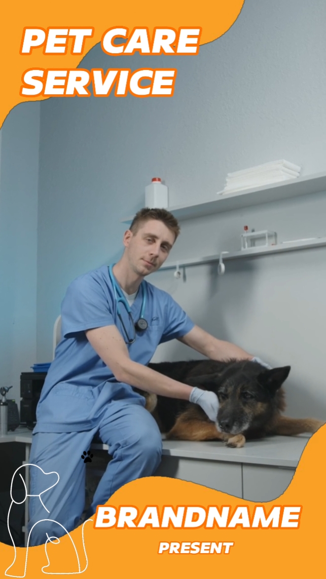 Serviço de cuidados com animais de estimação