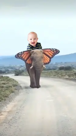 Riding the elephant