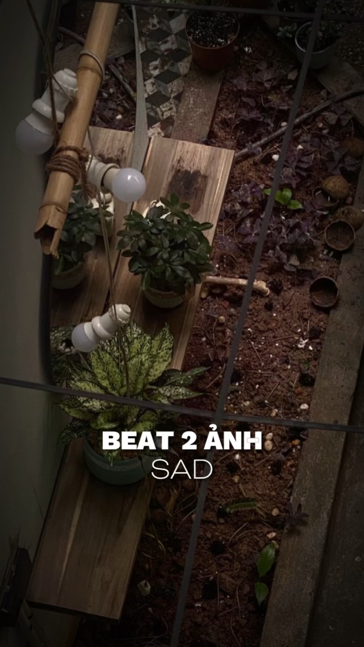 BEAT 2 ẢNH SAD