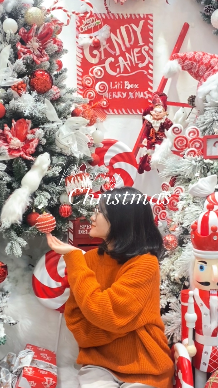 Noel ng Mitau vlog