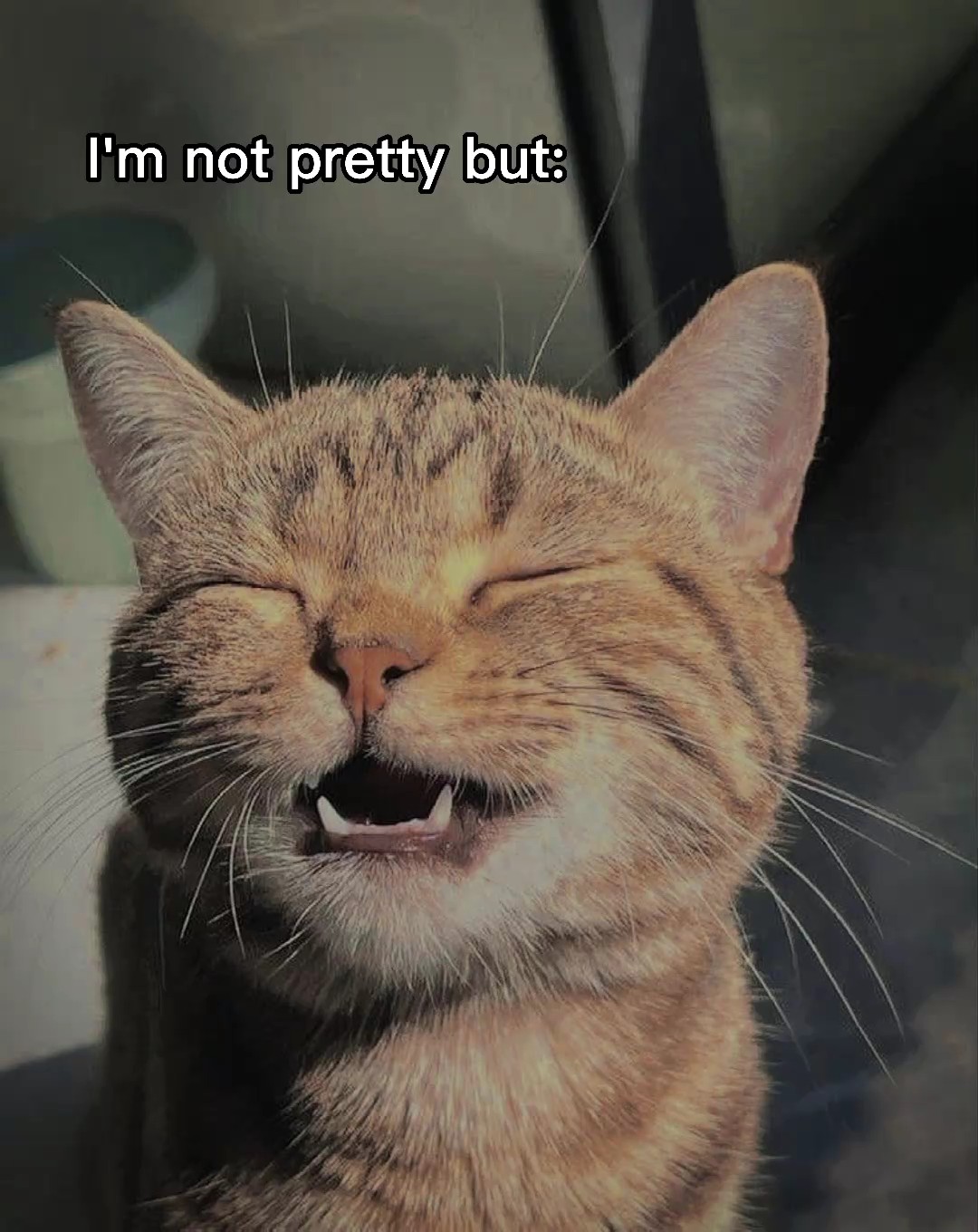 No soy bonita pero