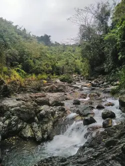 Shell family bonding