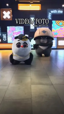 #DjMeniMisu