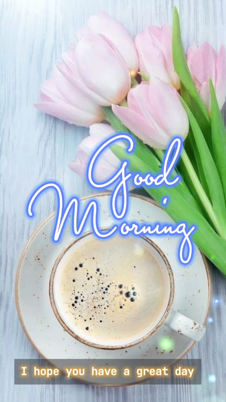 Bom Dia