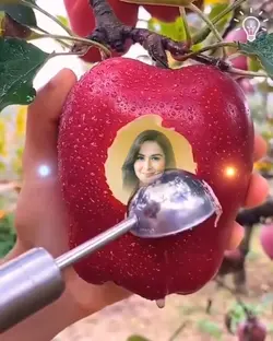 my apple