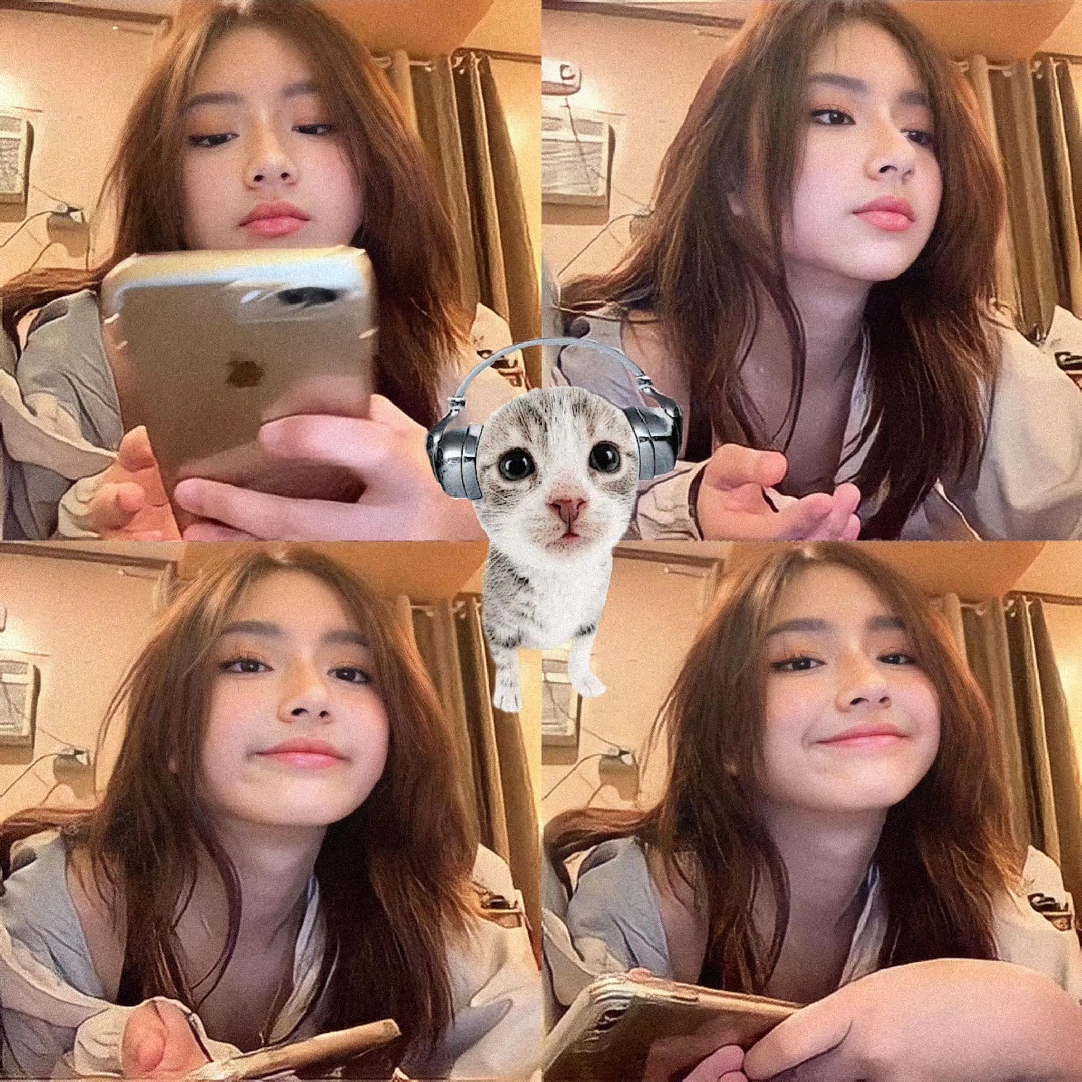 kedi bilenmiş