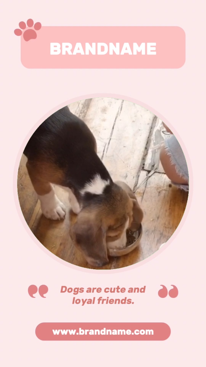 Promotion des aliments pour animaux de compagnie