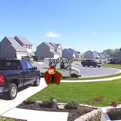 Text here
