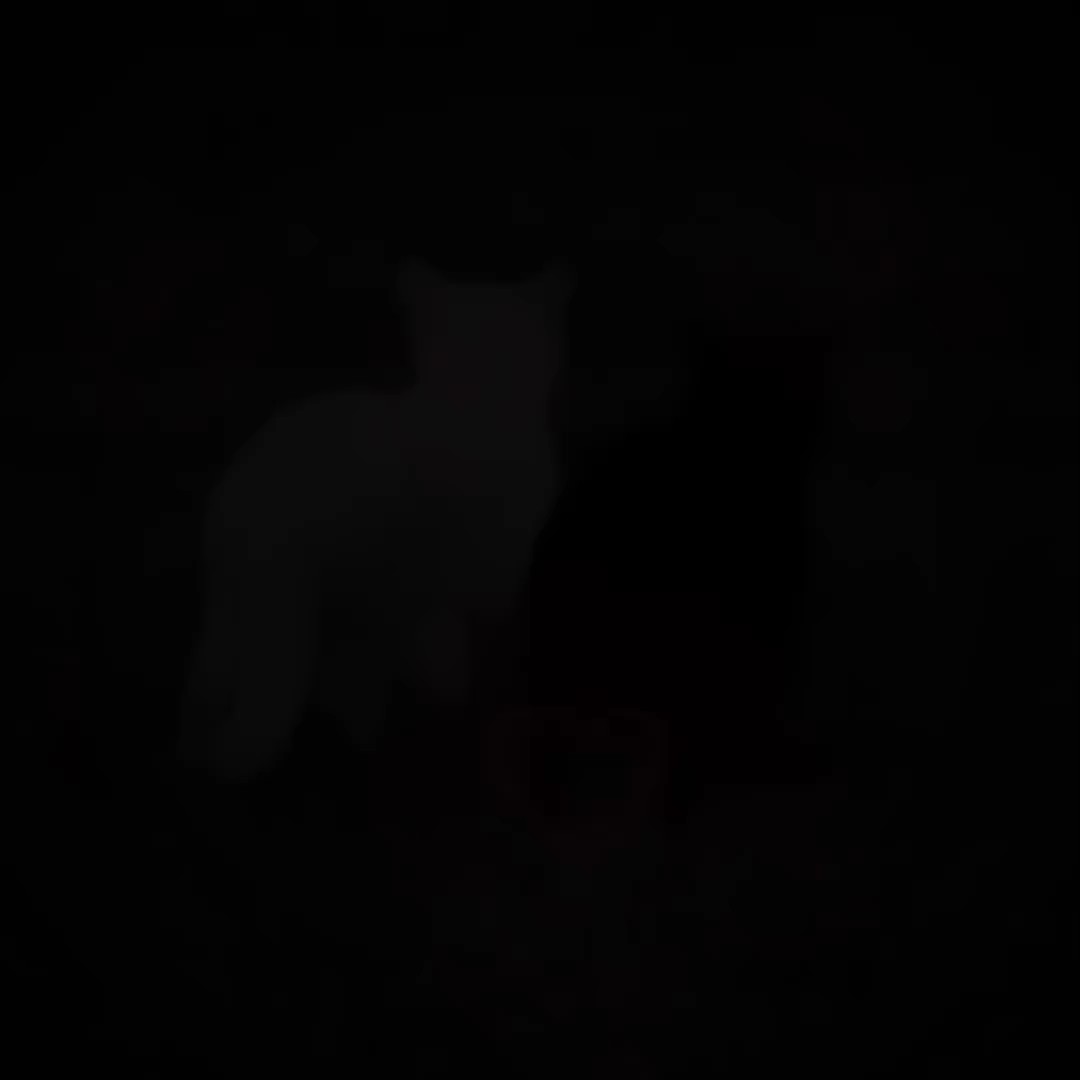 너를 생각하다