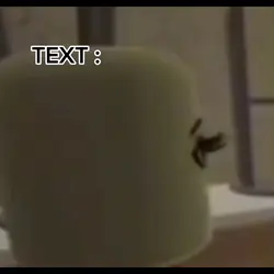 Roblox meme