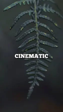 CINEMATIC TEMPLATE