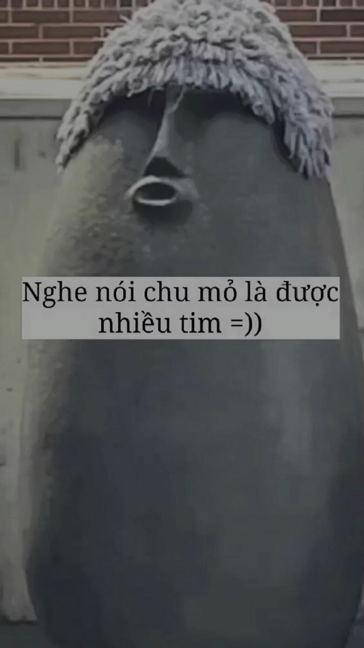 Chu mỏ là nhiều tim?