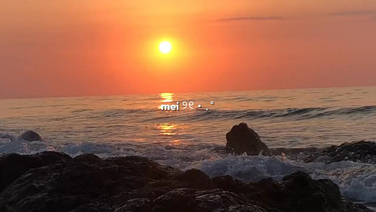 Versión 16,9