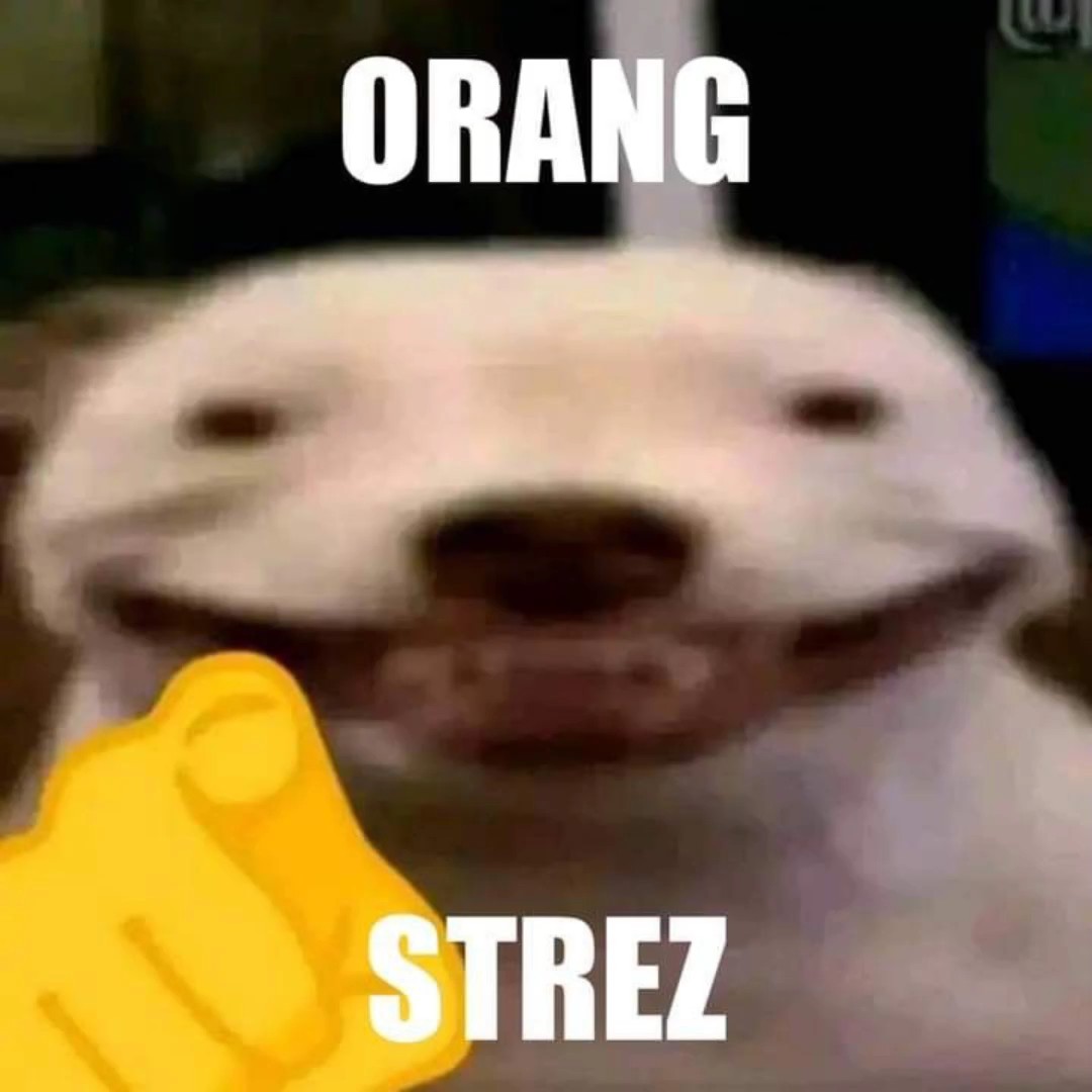 nanii itu apA