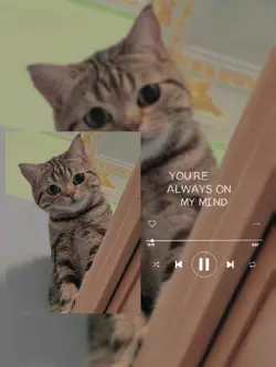 ldr