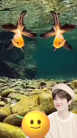 #Backgroundview