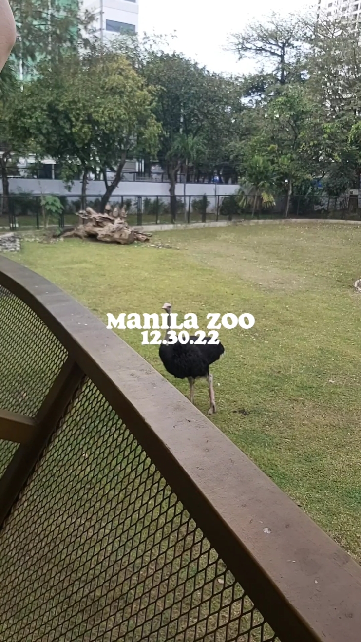 Manila Zoo