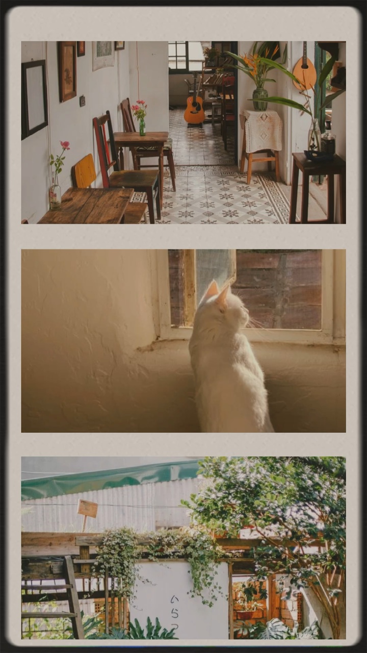 3 ảnh film 