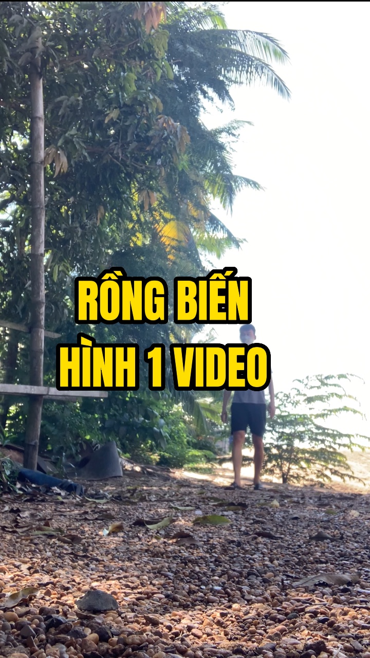 Rồng biến hình