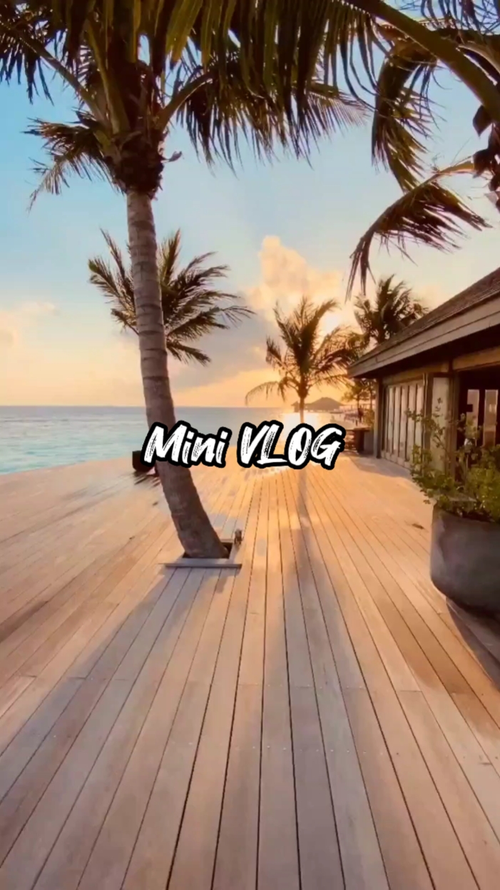 VLOG STORY 23,01