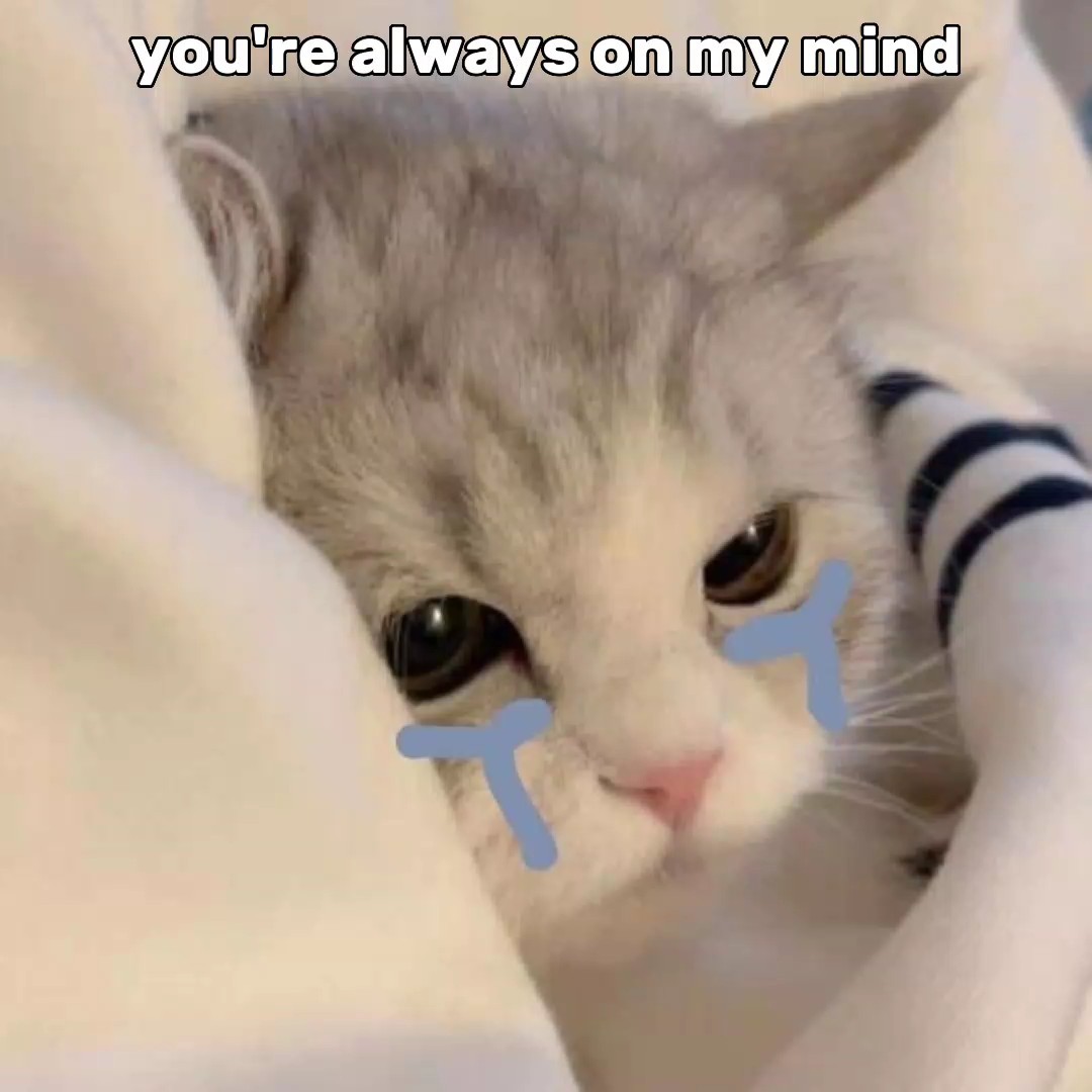 LDR