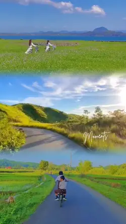 Frame estetik+filter