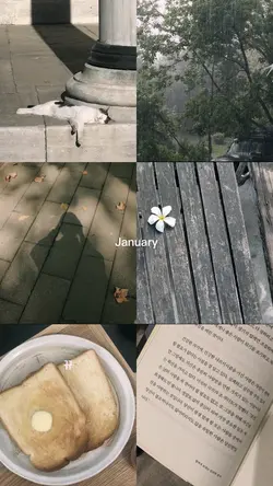 6 pictures | January