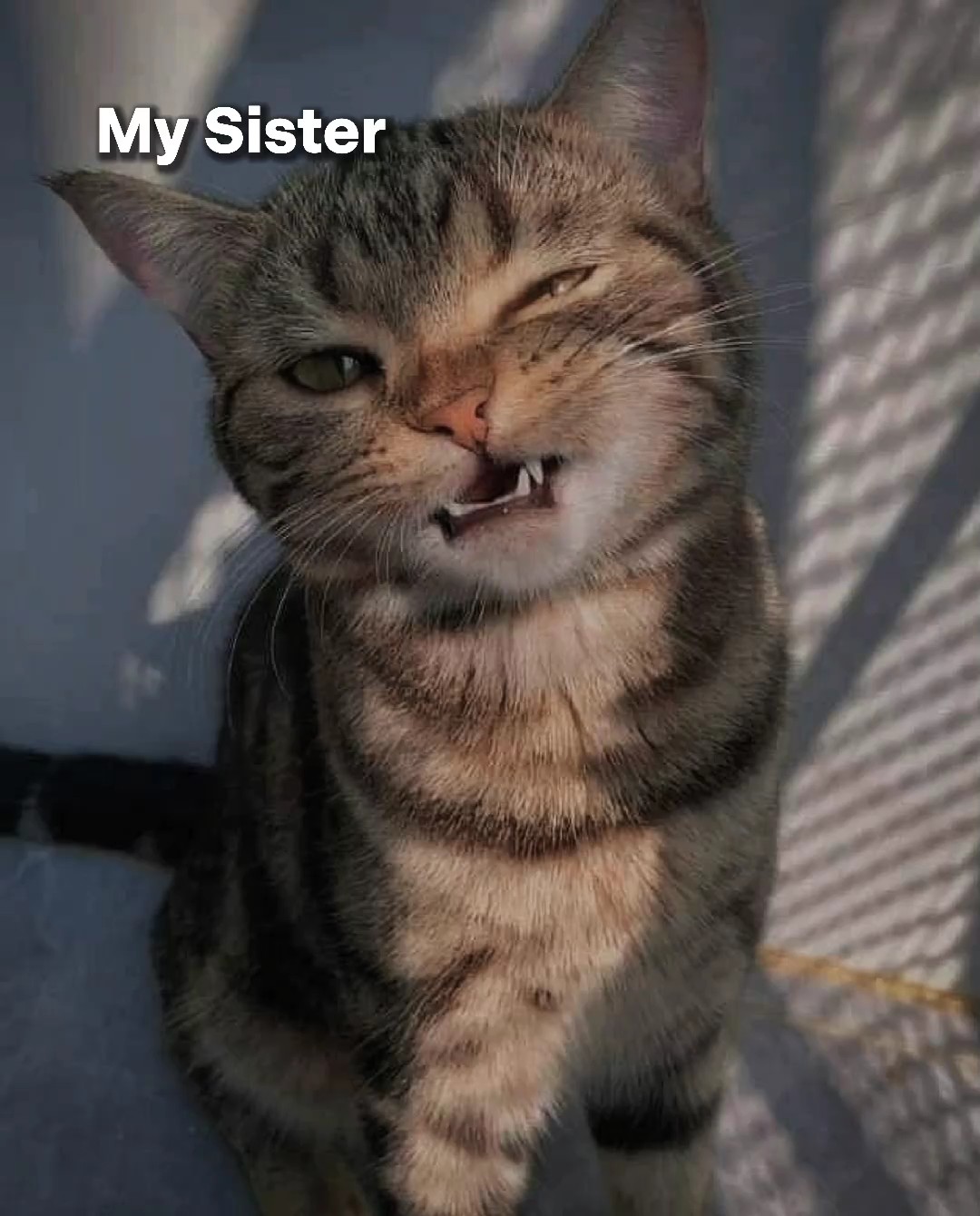 Mi hermana y yo