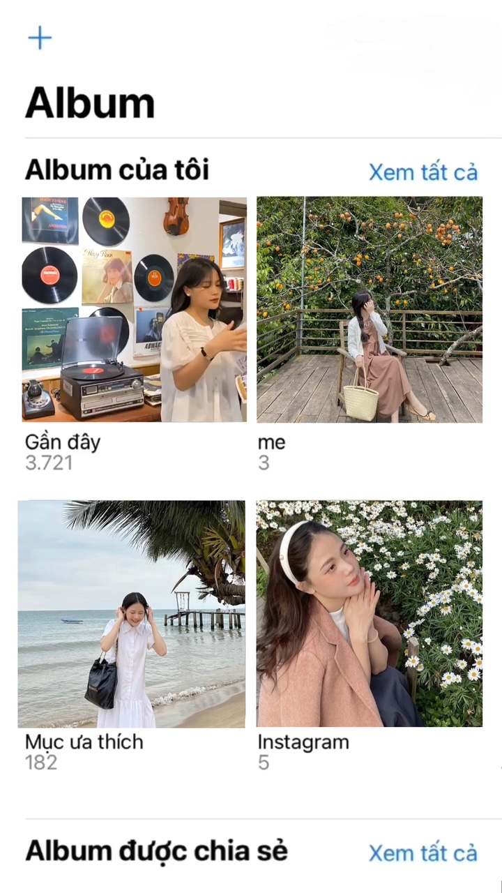 Album anzeigen 