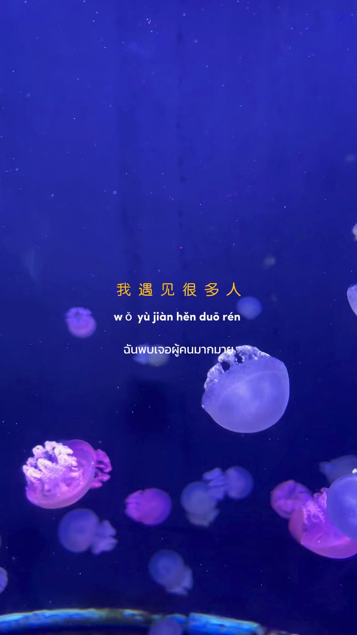 Template cover