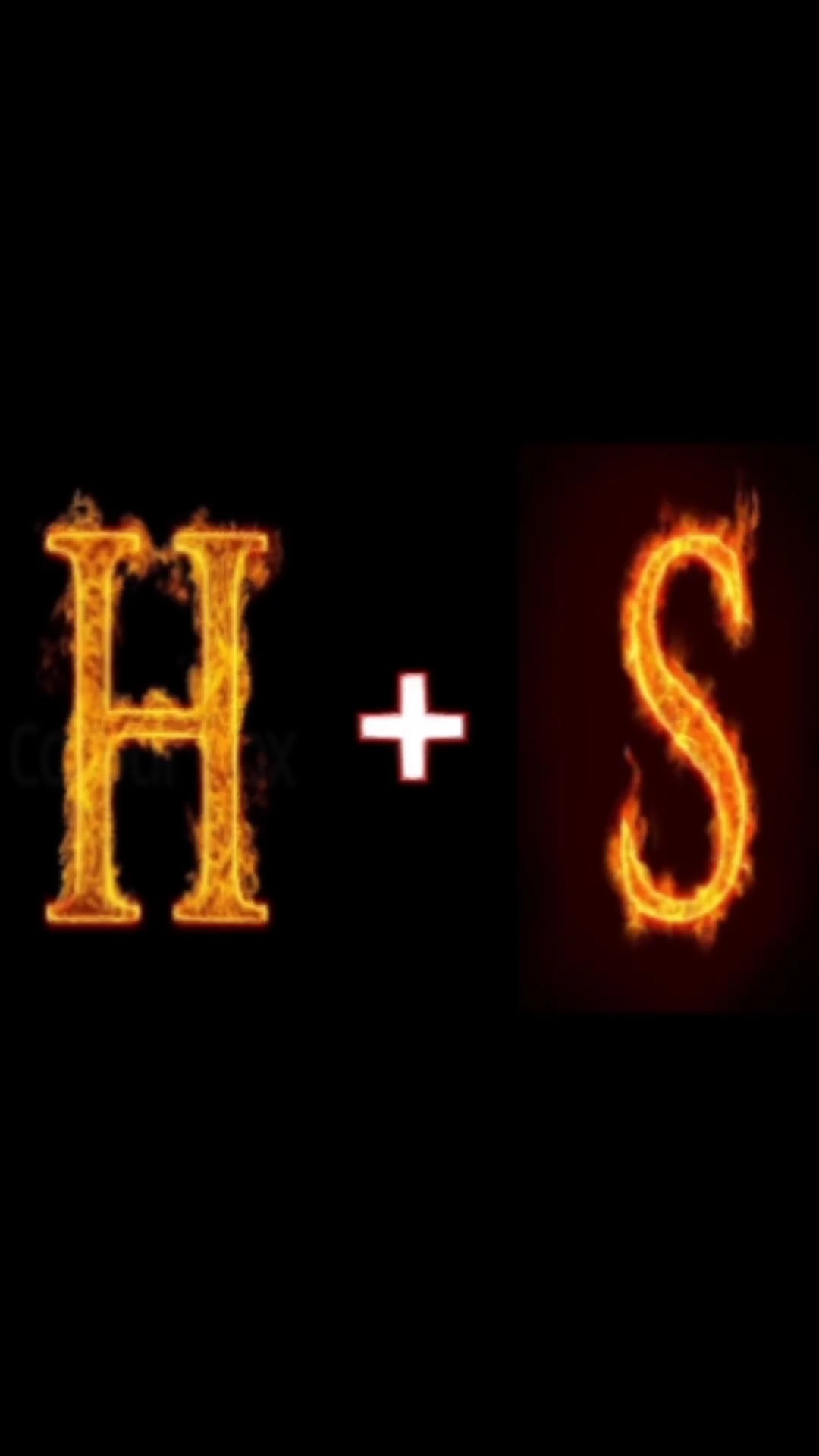 H + S