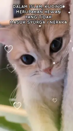 Assalamualaikum