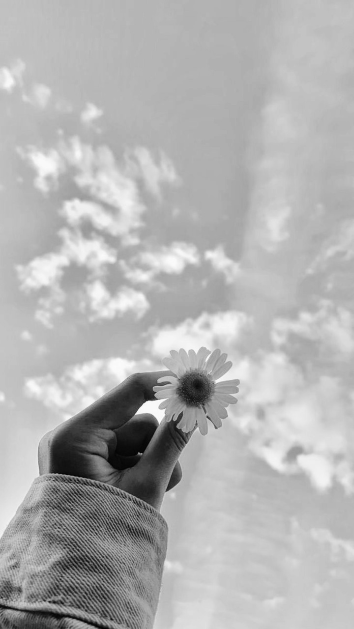 B & W a los colores