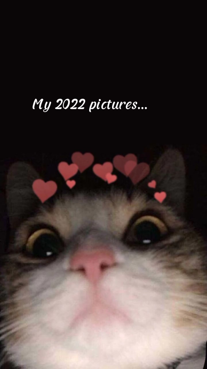 #MisFotos2022