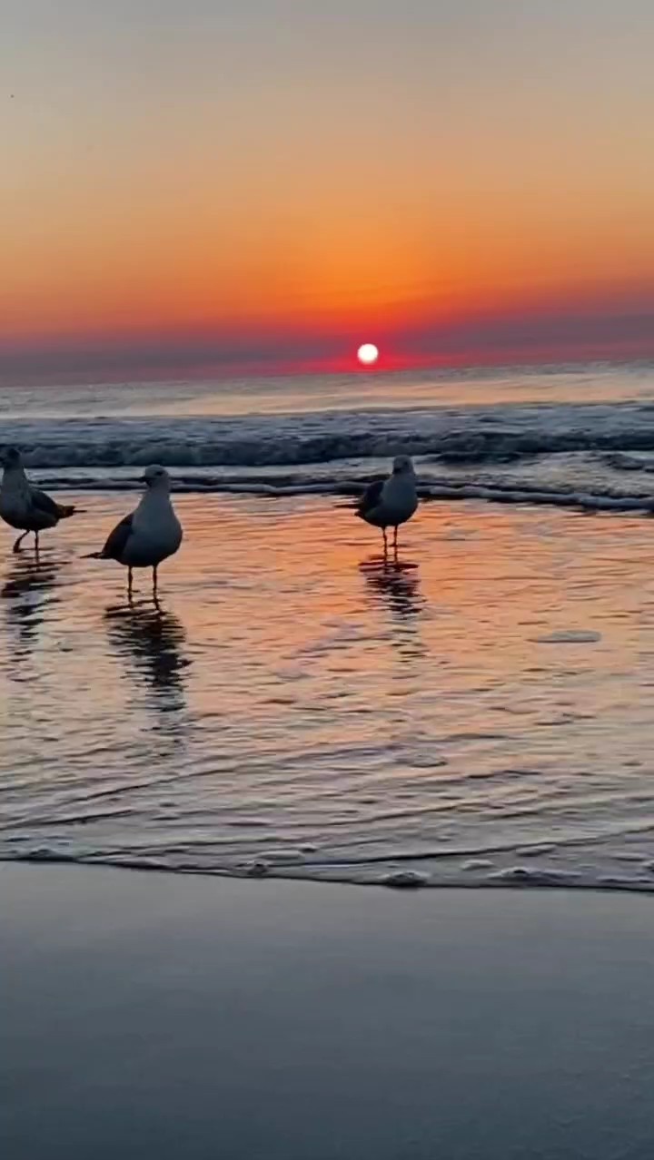 slowmo lisse