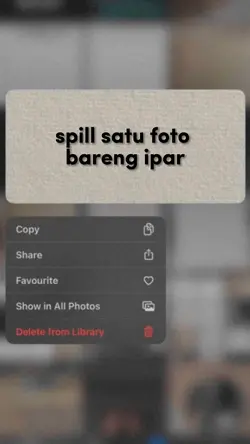 spill satu foto