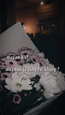 Mẫu 4 ảnh