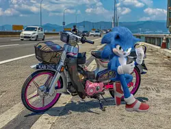 sonic viral