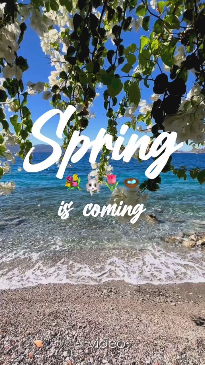 Der Frühling kommt 💐🐰🌷