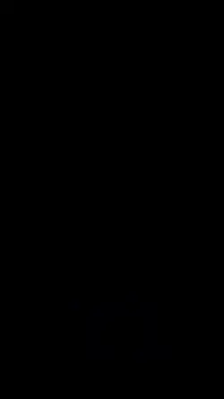 1 video 2 foto versi