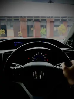 The Austrian Painter