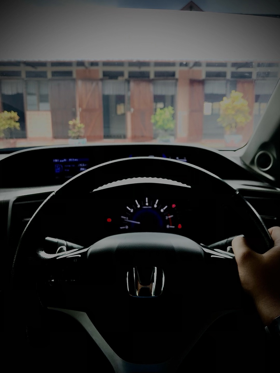 Cover Picture