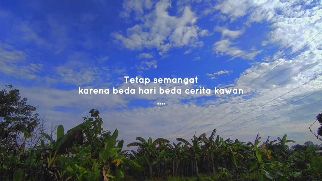 Story Opening