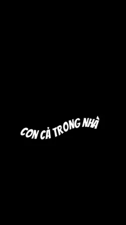 Show con thứ