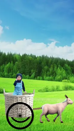 Naik Kambing