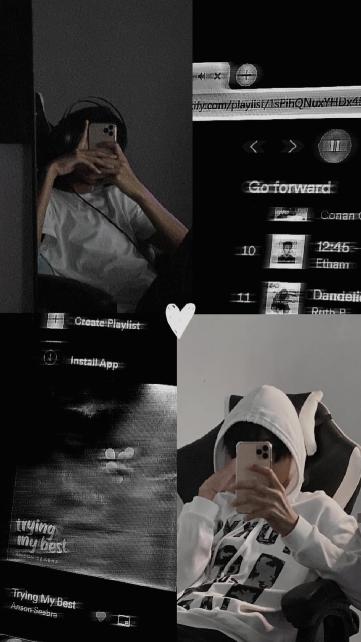 Cover Picture