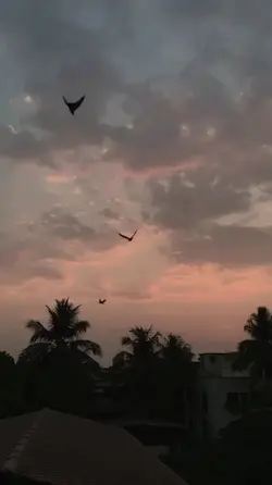 senja,jingga,damai